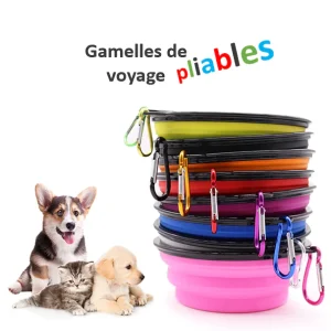 Gamelle de voyage pliable