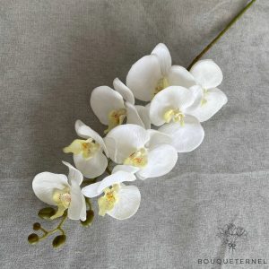 Branche Artificielle d'Orchidée