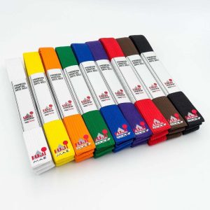 FUJIMAE : Ceinture Arts Martiaux ProWear - 15030