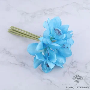 Fausse Orchidée Bleue
