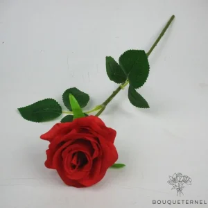 Fleur de Deuil Pas Cher