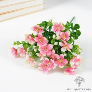 Fleur et Plante de Toussaint