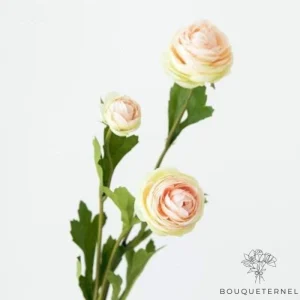 Fleurs d'Église de la Toussaint