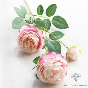 Fleurs Pas Cher de Deuil