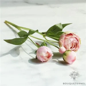 Fleurs pour Deuil Pas Cher