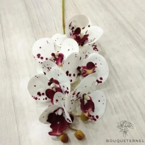 Orchidée Artificielle Blanche